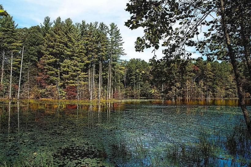 Hoosier National Forest