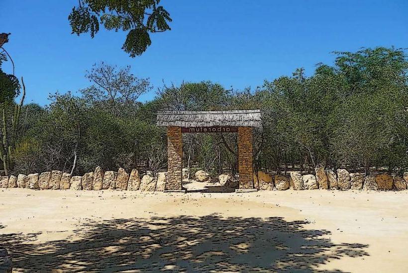 Arboretum d'Antsokay