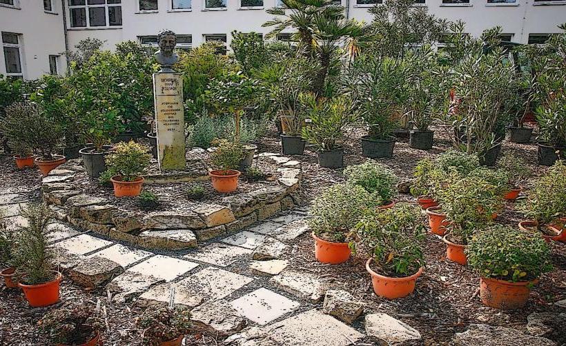 Old Botanical Garden