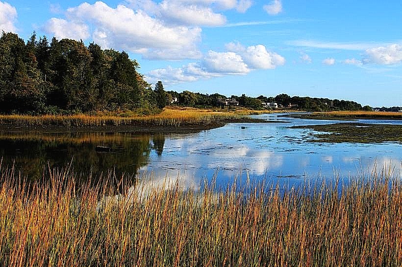 Emilie Ruecker Wildlife Refuge