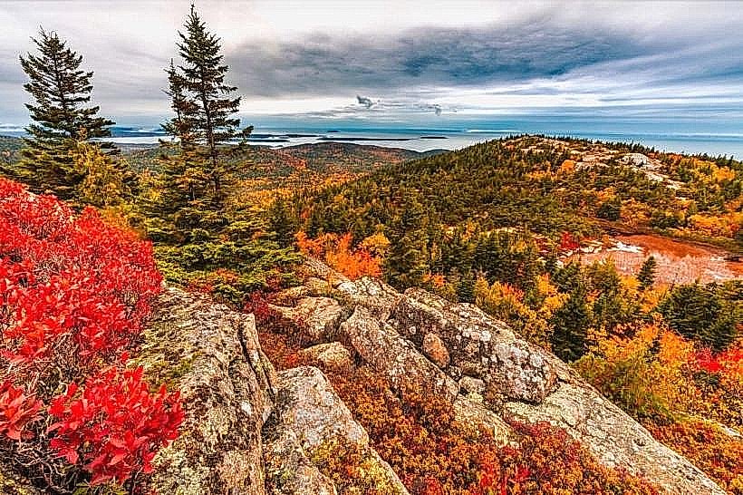 Pine Tree State Arboretum
