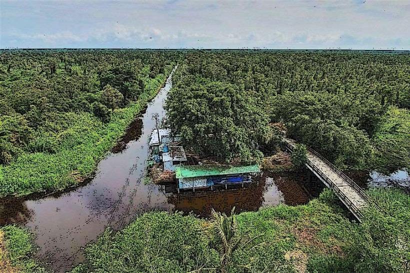U Minh Ha National Park