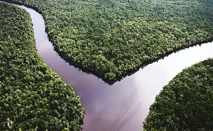 Sembilang National Park