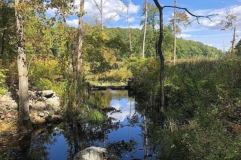 Wooster Mountain State Park