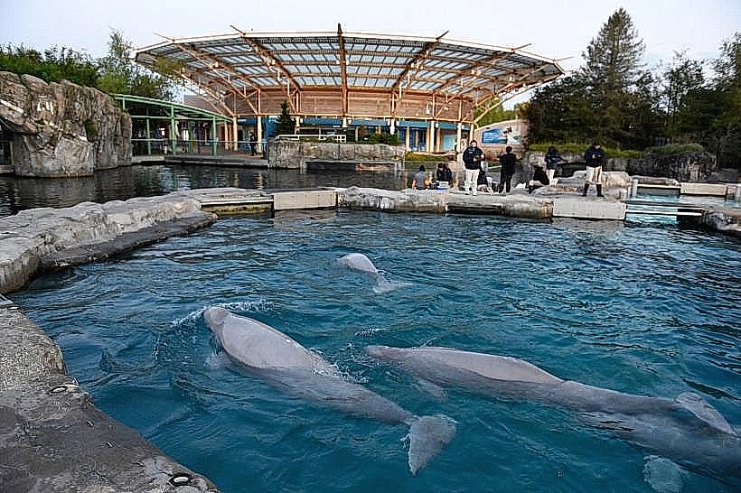 Mystic Aquarium