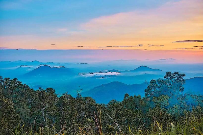 Aural Mountain Wildlife Sanctuary