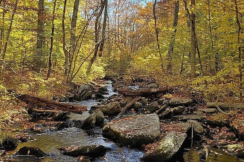 George B. Parker Woodland Wildlife Refuge
