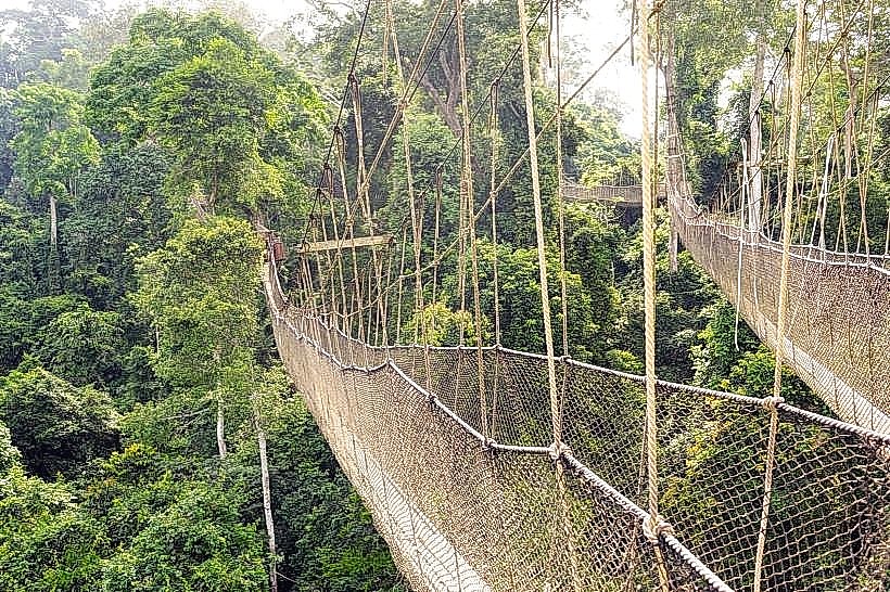 Kakum National Park