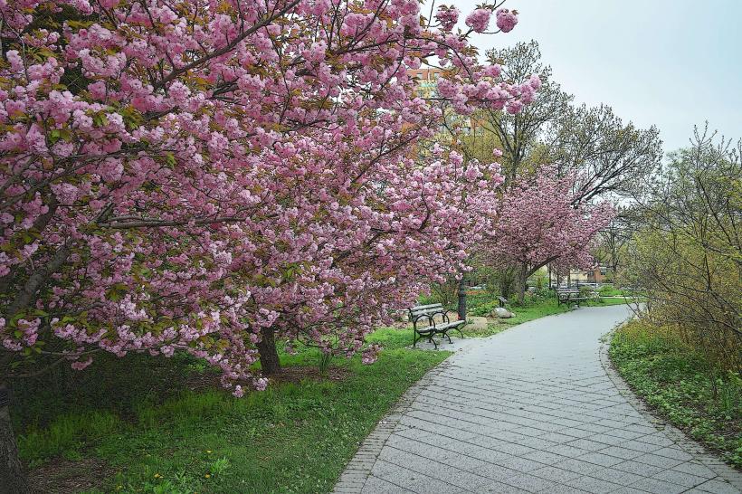 Queens Botanical Garden
