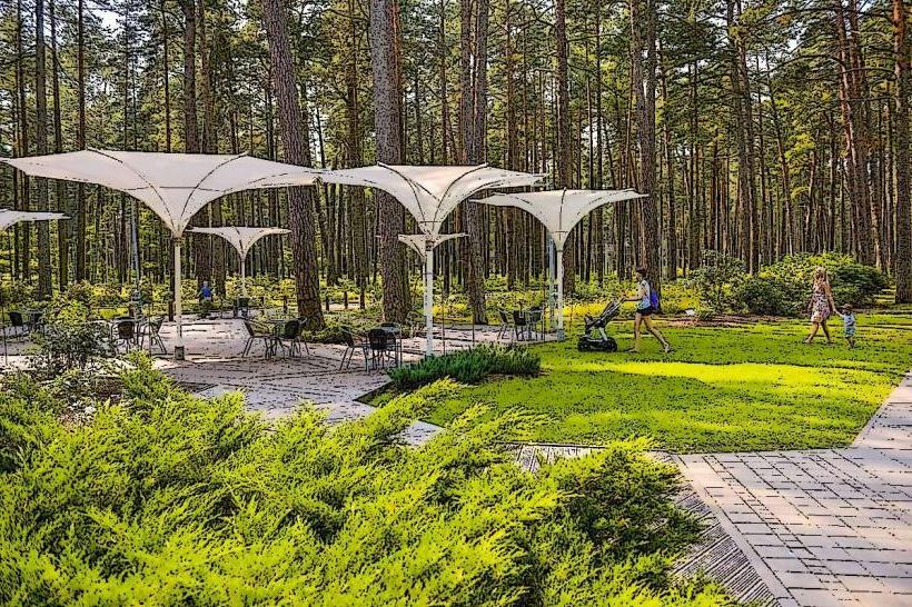 Dzintari Forest Park