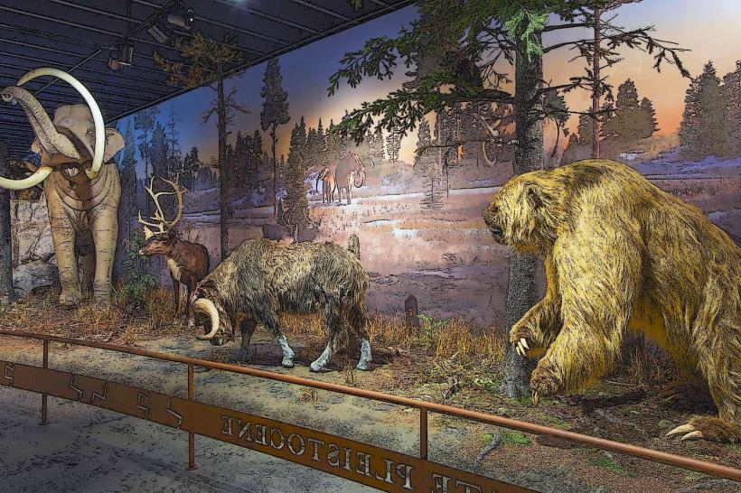 Museum of York County