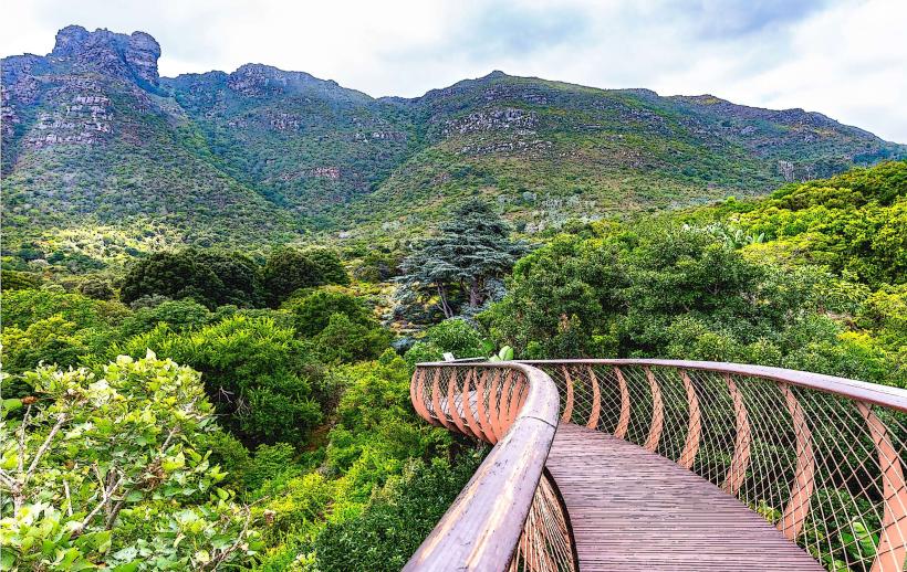 Kirstenbosch National Botanical Garden