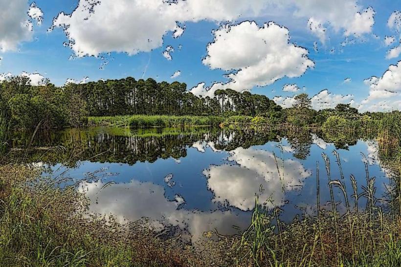 Pinckney Island National Wildlife Refuge