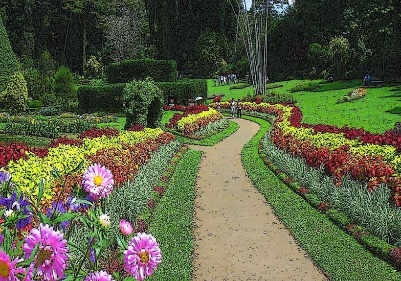 Peradeniya Royal Botanical Gardens
