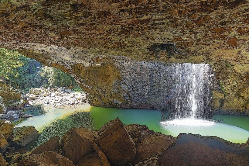 Springbrook National Park