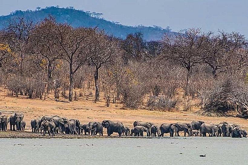 Kasungu National Park