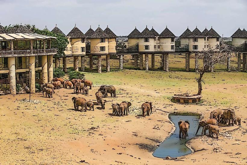 Taita Hills Wildlife Sanctuary