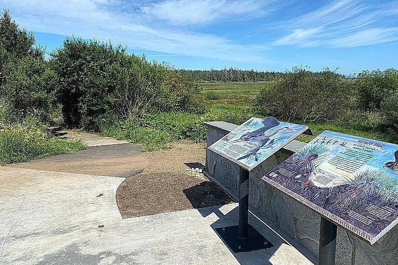 Bandon Marsh National Wildlife Refuge