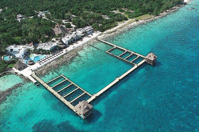Dolphin Discovery Cozumel