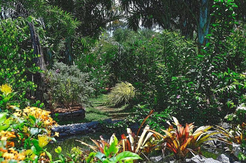 Jardin Botanique de Cayenne