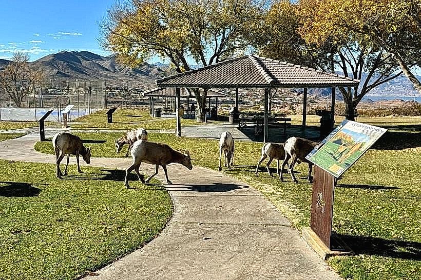Hemenway Valley Park