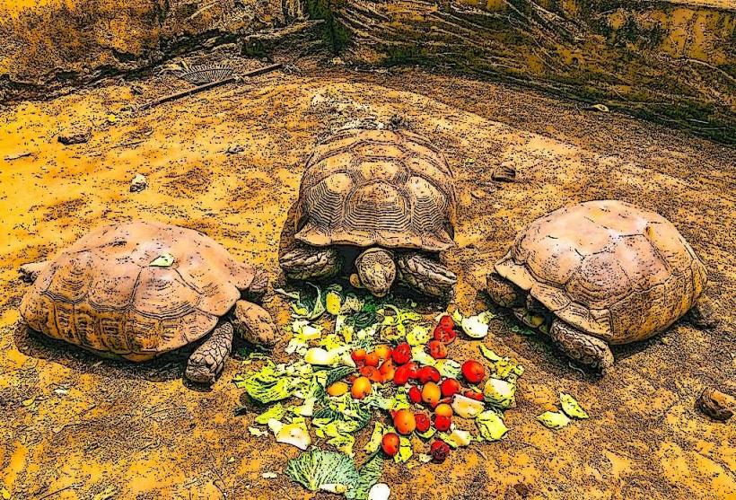 Kaduna Wildlife Park