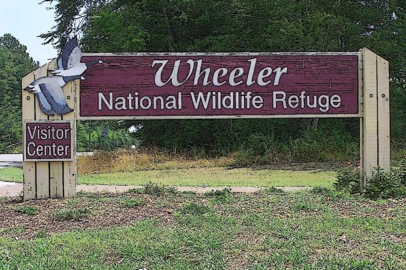Wheeler National Wildlife Refuge