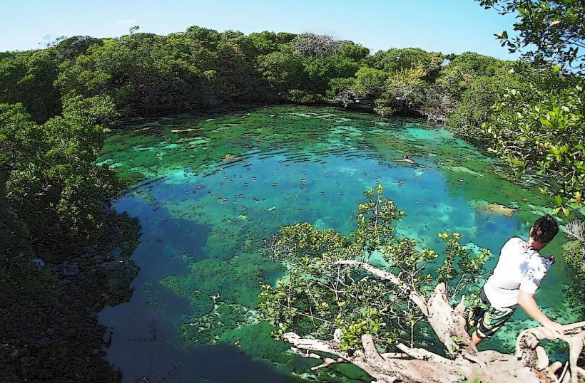 Mafia Island Chole Bay