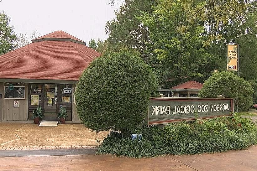 Jackson Zoo
