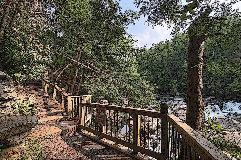 Swallow Falls State Park