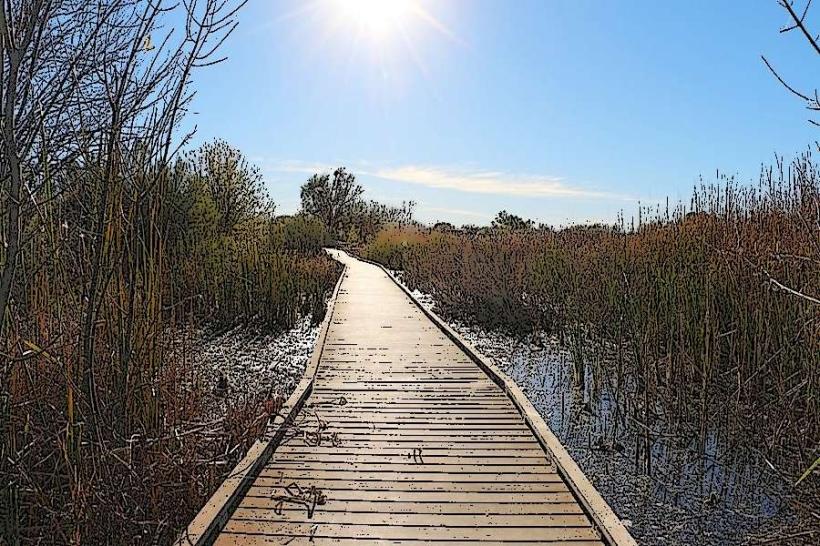 I-20 Wildlife Preserve