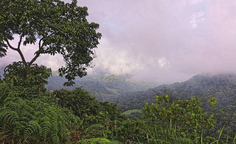 Makandawa Rainforest Reserve