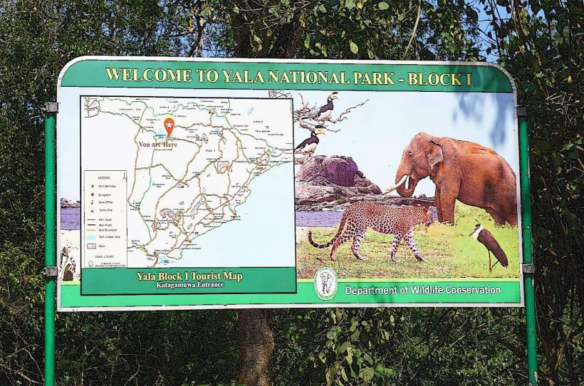 Yala National Park
