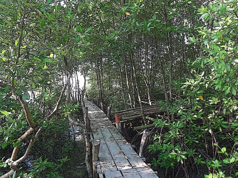 Peam Krasaop Wildlife Sanctuary