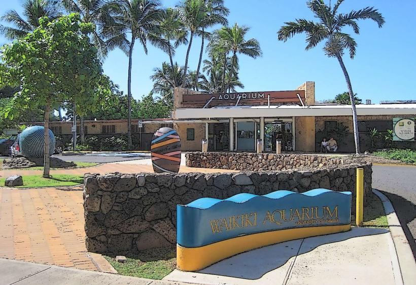Waikiki Aquarium