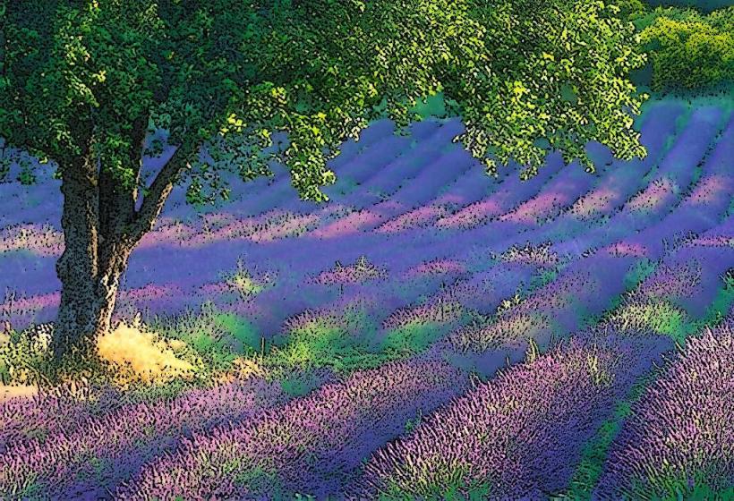 Jardín de los Aromas (Garden of Scents)
