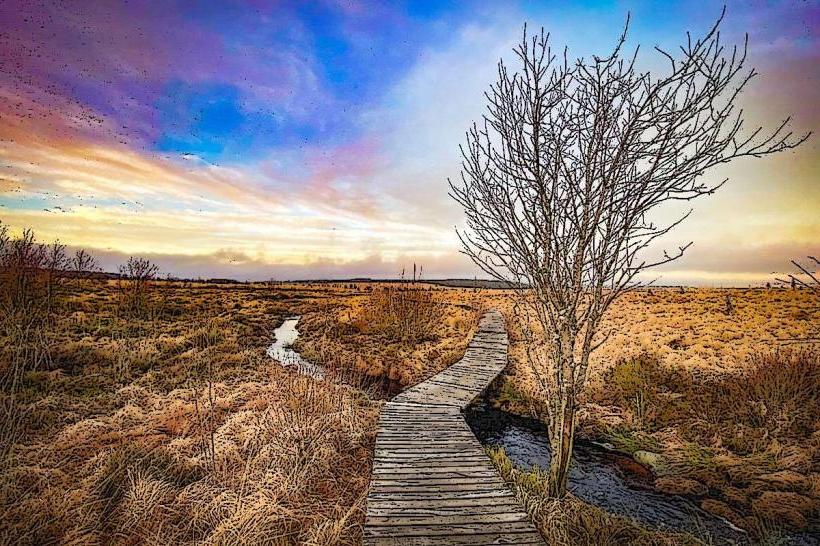 Eupen High Fens