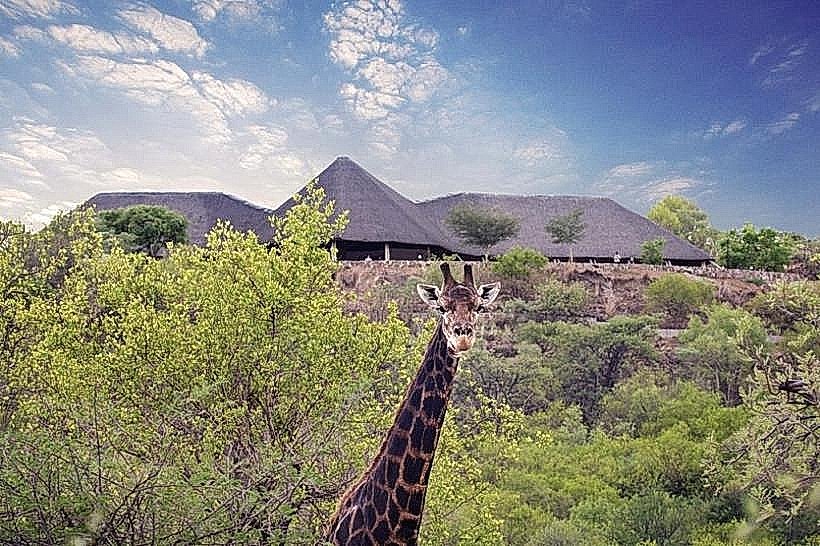 Mokolodi Nature Reserve