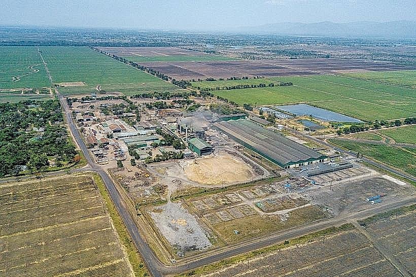 Dwangwa Sugar Estate
