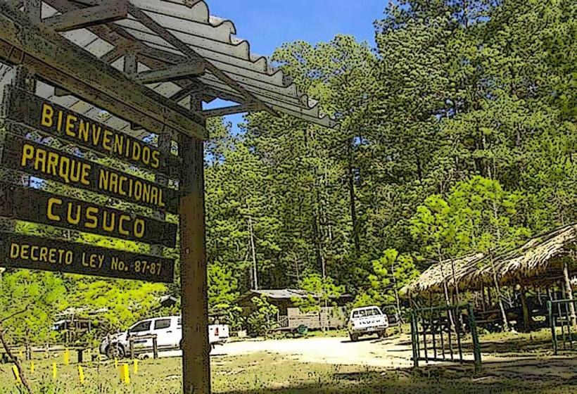 Parque Nacional Cusuco