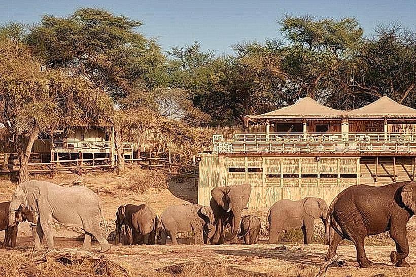 Chobe Elephant Sanctuary