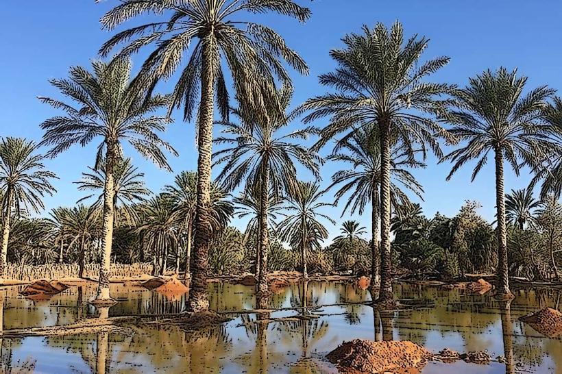 Tataouine Oasis