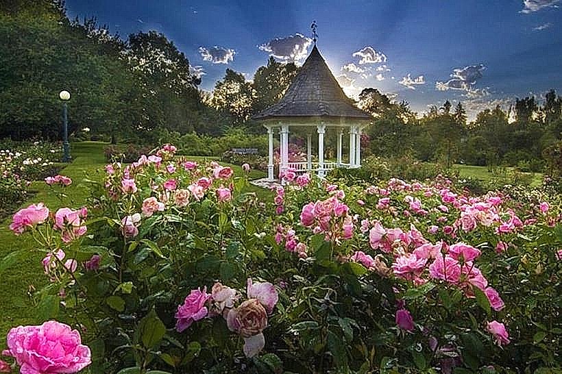 Bush’s Pasture Park