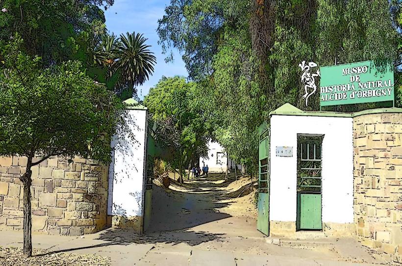 Museo de Historia Natural