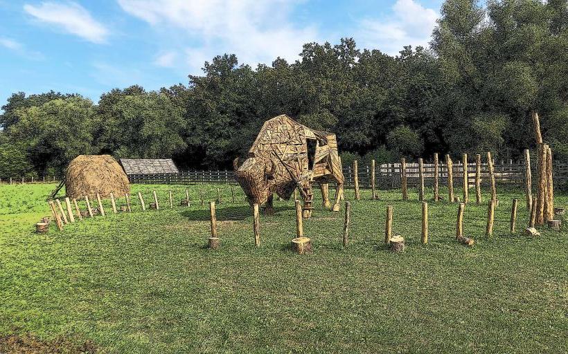 Padurea Domneasca Reserve