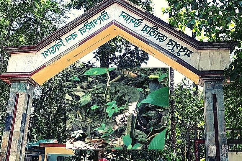 Madhupur National Park