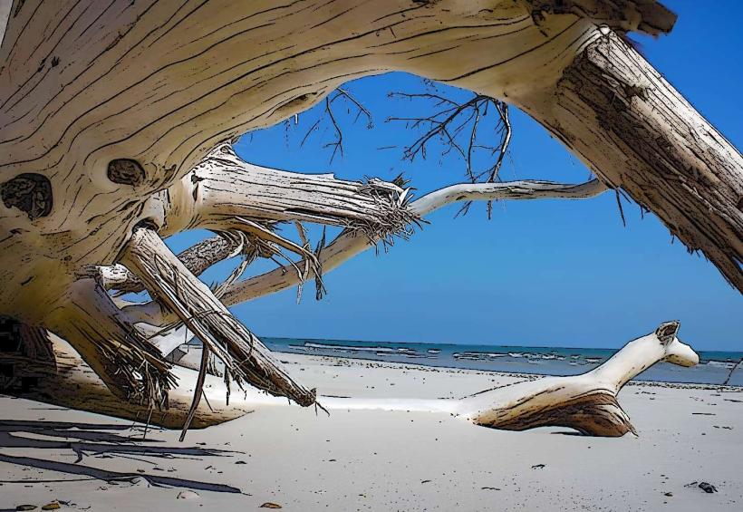 Little Talbot Island State Park