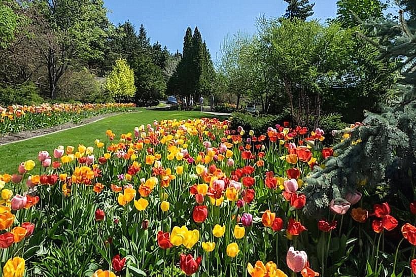 Flathead Valley Community College Arboretum
