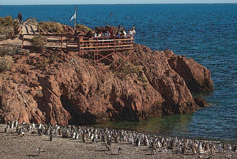 Reserva Natural Punta Tombo