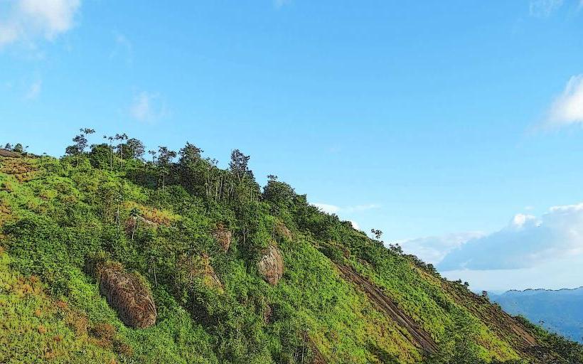 Tumuc-Humac Mountains